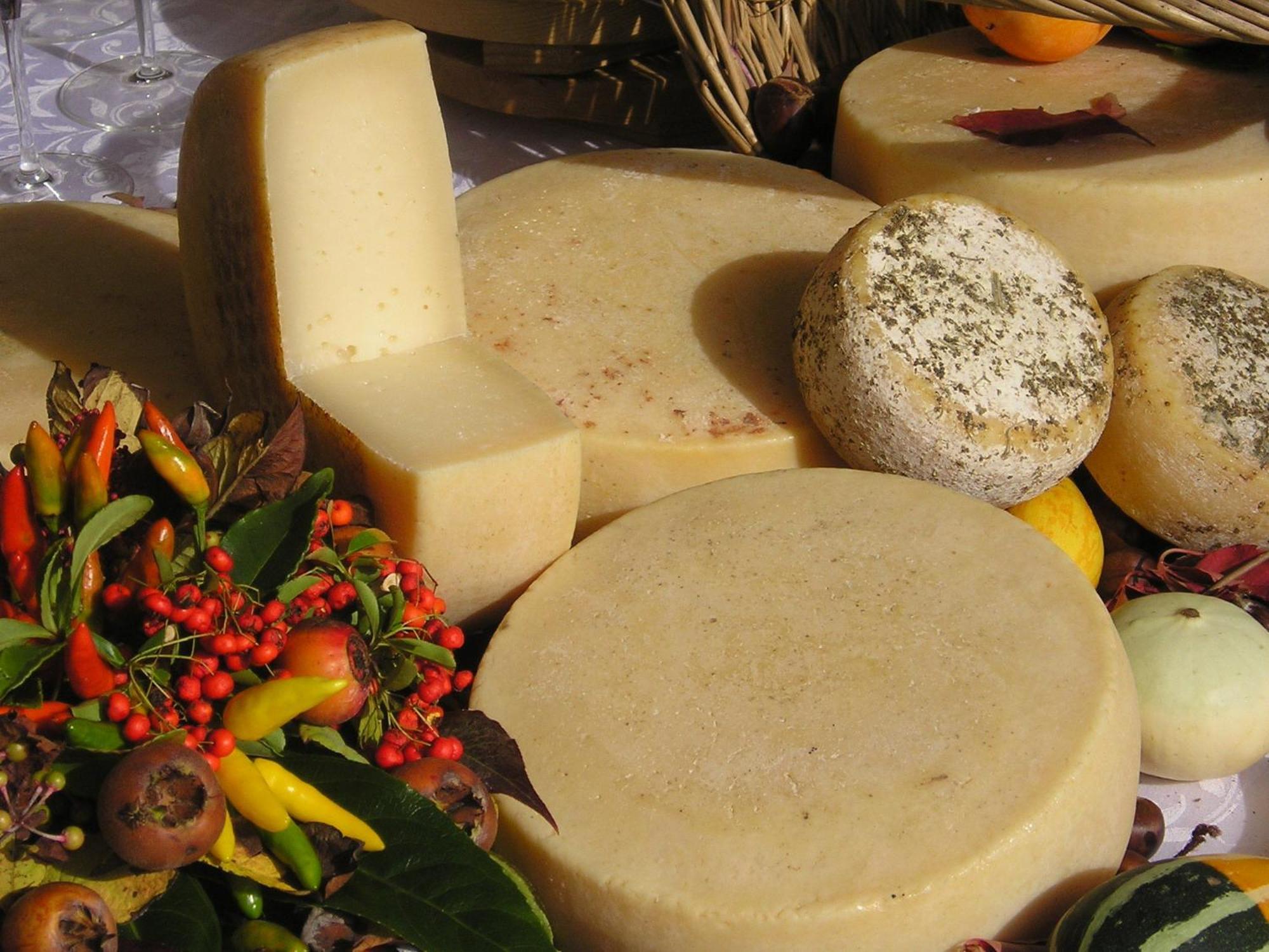 Agriturismo Borg Da Ocjs Medea Eksteriør bilde