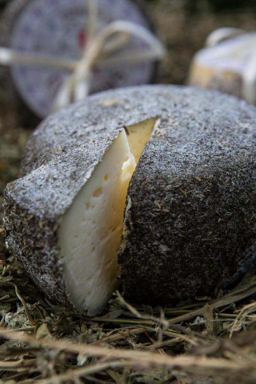 Agriturismo Borg Da Ocjs Medea Eksteriør bilde