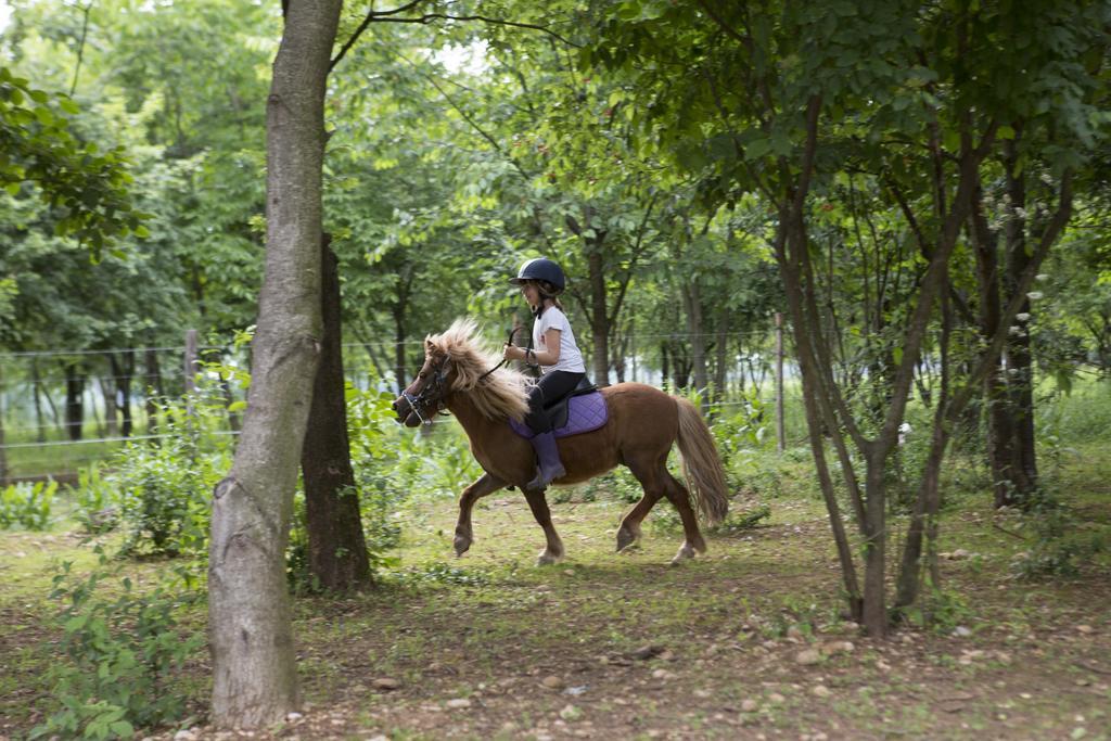 Agriturismo Borg Da Ocjs Medea Eksteriør bilde